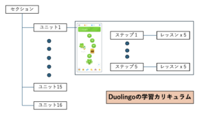 Duolingoの学習カリキュラム