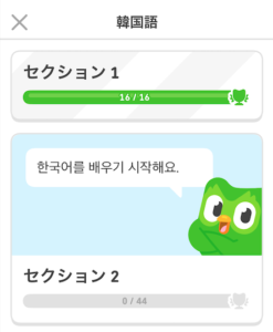 Duolingo セクション２